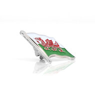 PIN - WALES - SILVER