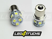 XENON WHITE - 9xSMD LED 10-30V - BA15s